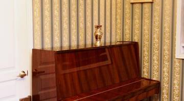 Фото номера Семейный номер с фортепиано Гостевой дом на Троицкой г. Тверь 4